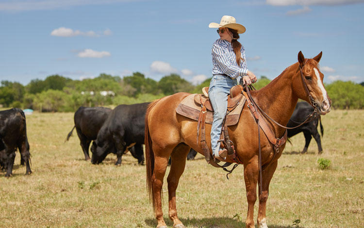 Woman wearing a cowboy hat on horse standing amongst cattle.